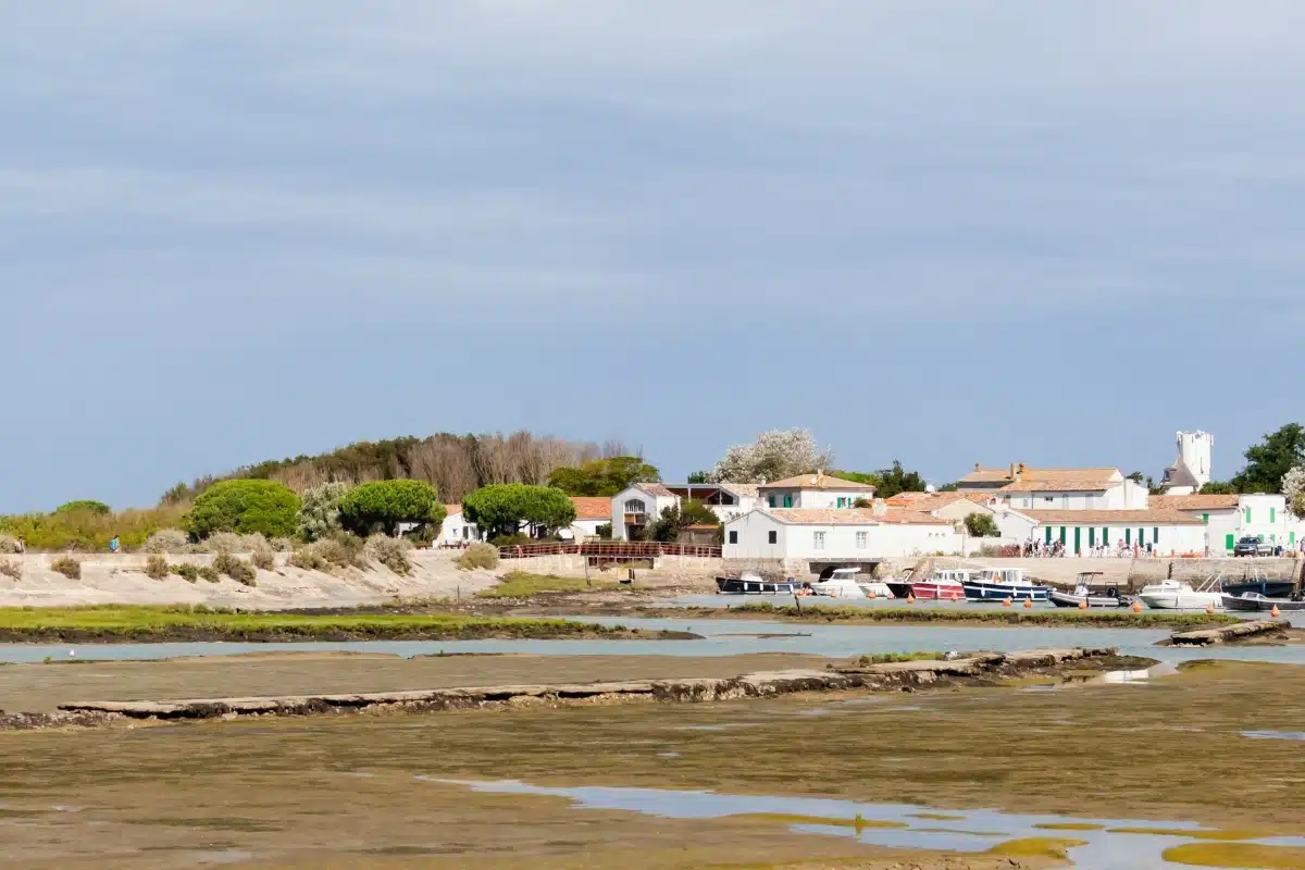 tourisme loix camping ile de re